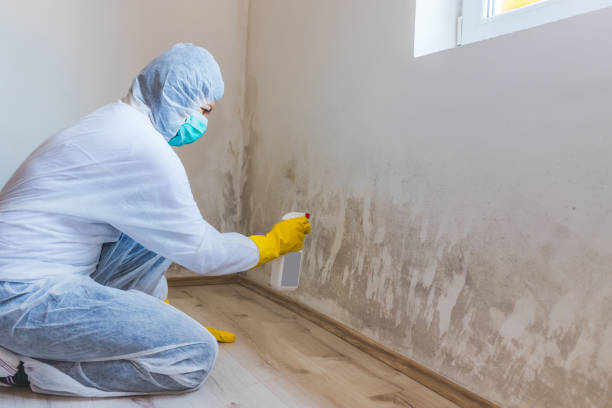 Licensed Mold Inspection service in Snellville, GA - WQB Mold Removal